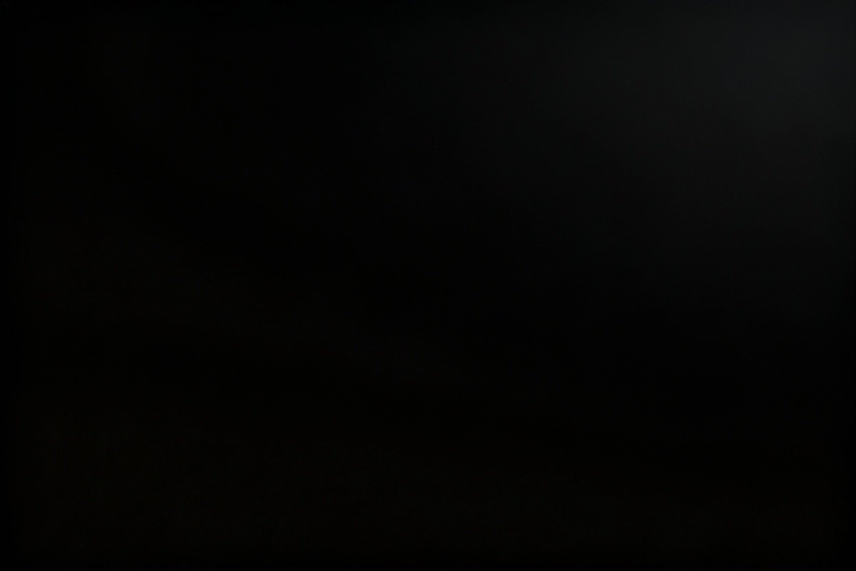 Black Friday Sale - No2moro